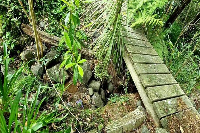 Photo of property in 26a Matheson Road, Wellsford, 0900