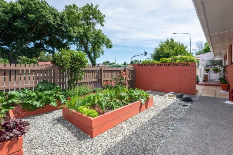 Photo of property in 1/205 Bealey Avenue, Christchurch Central, Christchurch, 8013