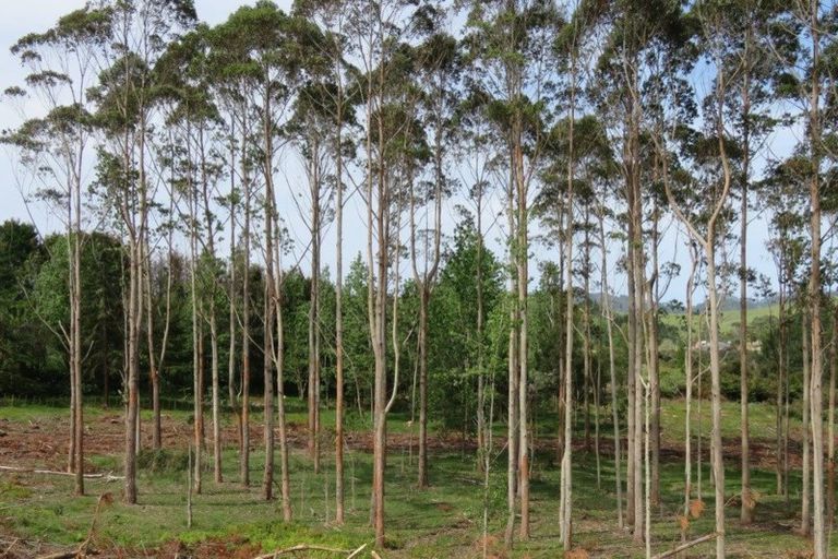 Photo of property in 59 Harbour View Rise, Mangonui, 0494