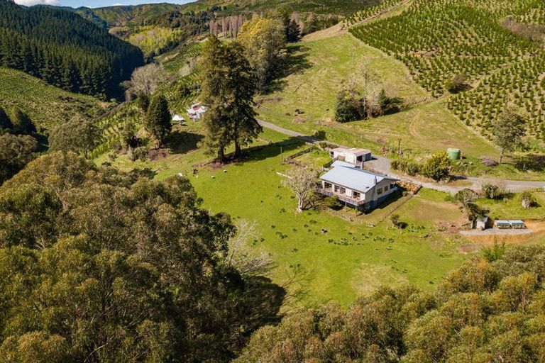 Photo of property in 619 Kirikau Valley Road, Kirikau, Taumarunui, 3993