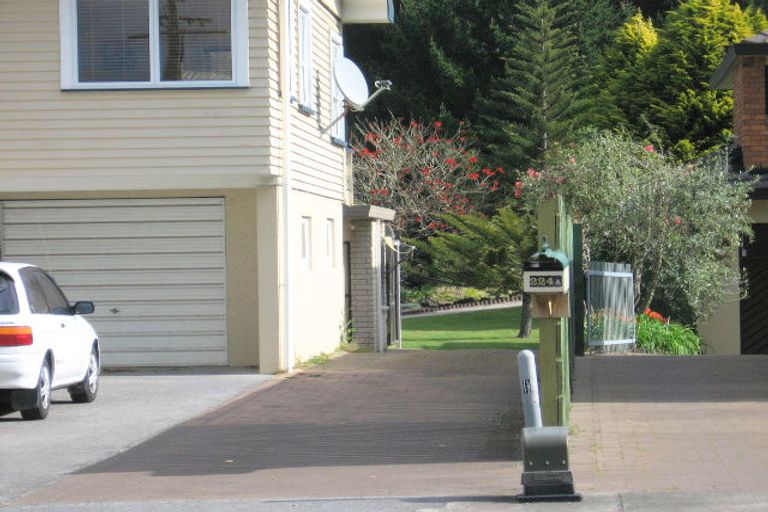 Photo of property in 224a Oceanbeach Road, Mount Maunganui, 3116