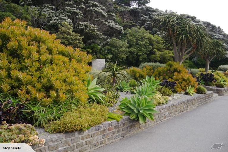 Photo of property in The Capital, 370 Oriental Parade, Oriental Bay, Wellington, 6011