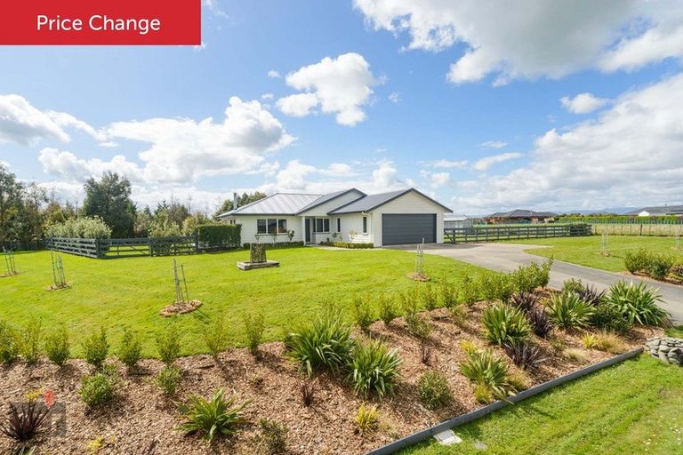 Photo of property in 12 Wapiti Avenue, Feilding, 4775