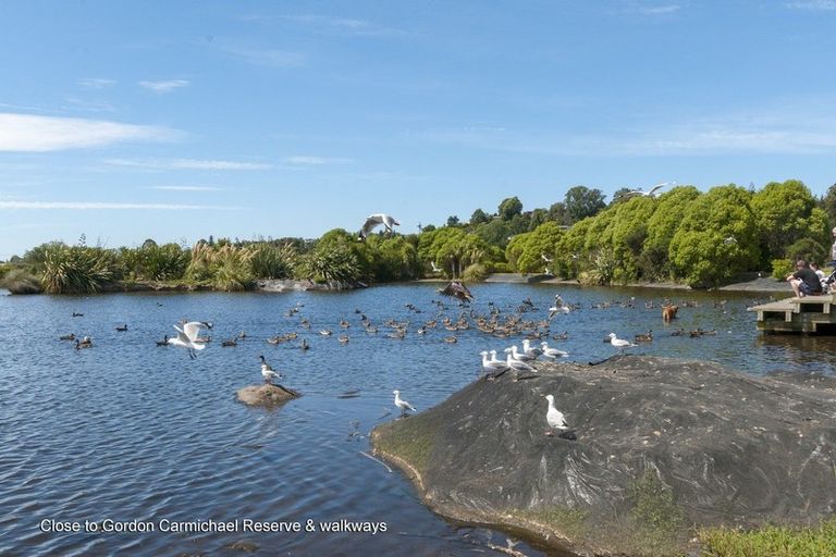 Photo of property in 32 Saint Pauls Drive, Brookfield, Tauranga, 3110