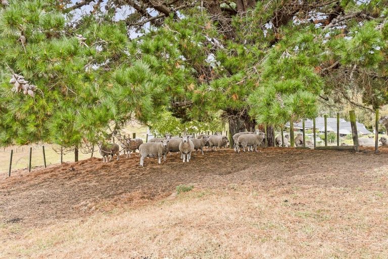 Photo of property in 6 Derham Road, Te Horo, Otaki, 5581