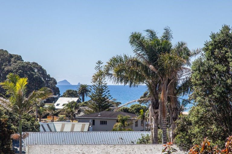 Photo of property in 120 Onemana Drive, Onemana, Whangamata, 3691