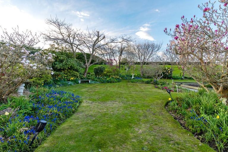 Photo of property in 263 Molloys Road, Waimate, 7980