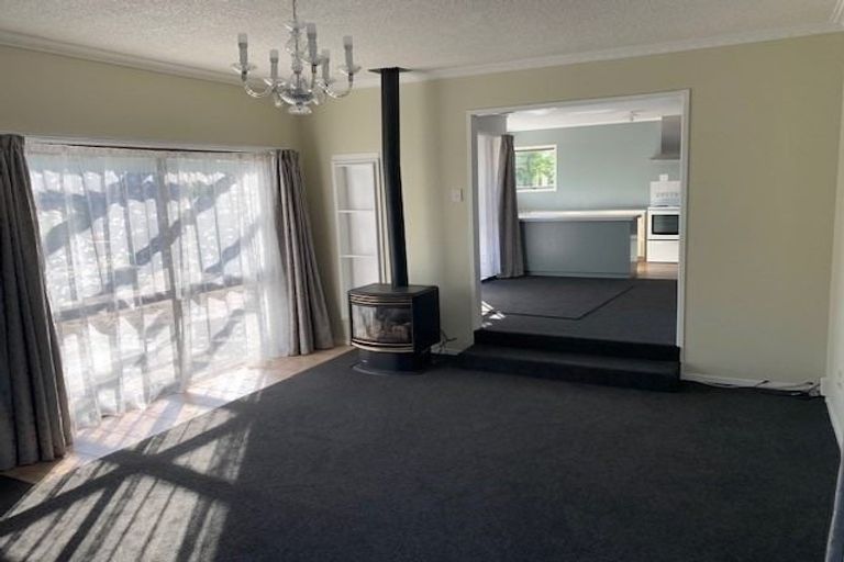 Photo of property in 41 Winstone Avenue, Chartwell, Hamilton, 3210