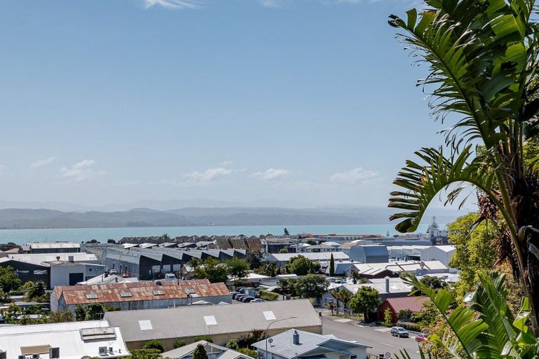 Photo of property in 156 Battery Road, Hospital Hill, Napier, 4110