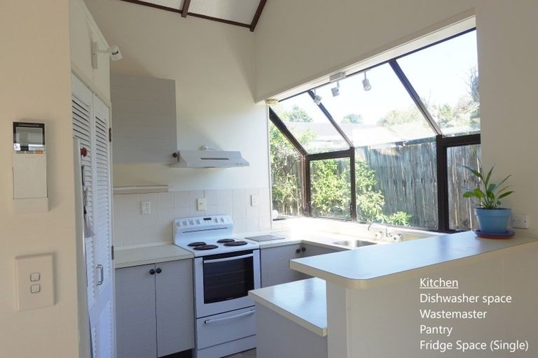 Photo of property in 1/163 Balmain Road, Birkenhead, Auckland, 0626