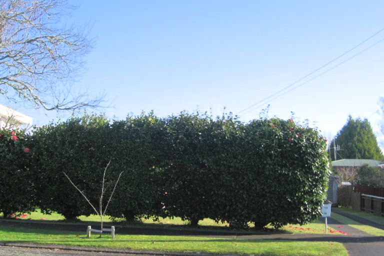 Photo of property in 15 De Vere Crescent, Chartwell, Hamilton, 3210