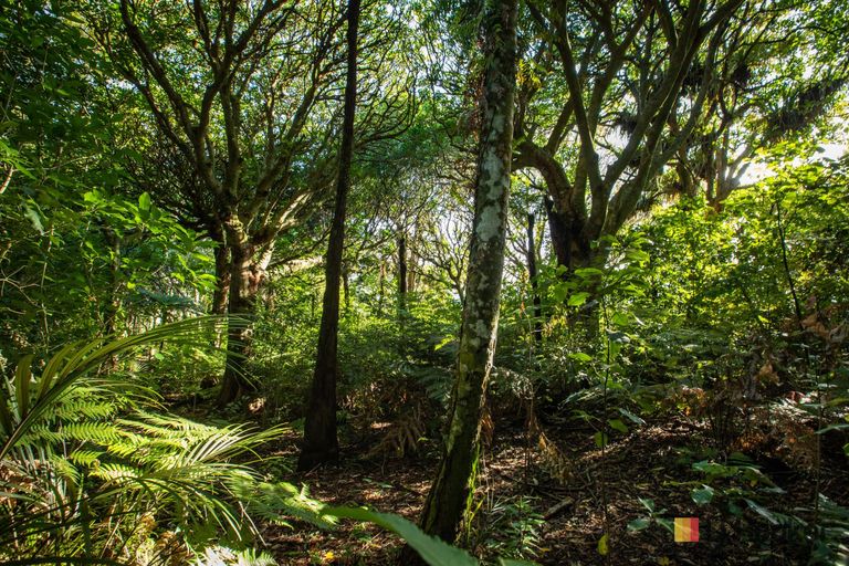 Photo of property in 166b Heard Road, Waihi, 3681