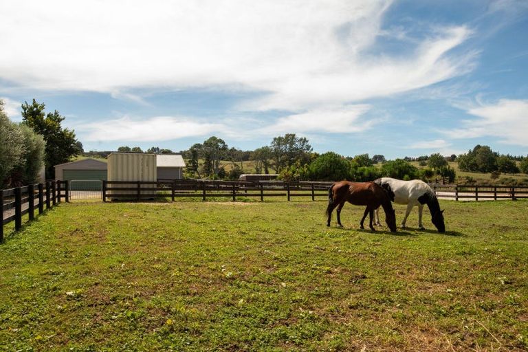 Photo of property in 126 Willoughby Road, Tahawai, Katikati, 3170