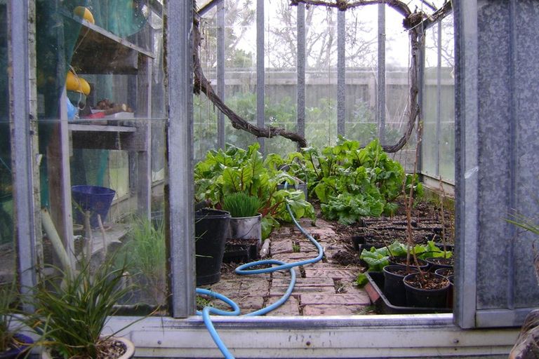 Photo of property in 11 Brook Street, Waiwhetu, Lower Hutt, 5010