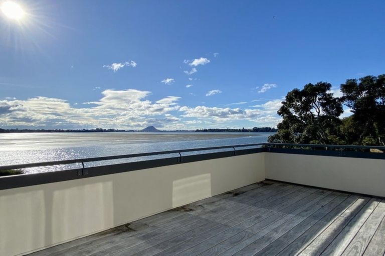 Photo of property in 272a Maungatapu Road, Maungatapu, Tauranga, 3112