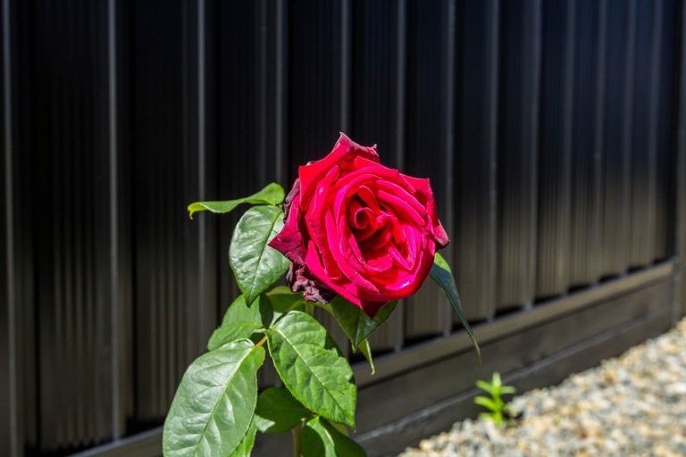 Photo of property in 16 Whitten Way, Wallaceville, Upper Hutt, 5018