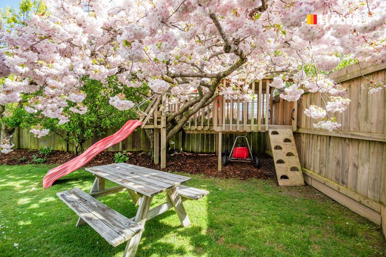 Photo of property in 15 Cherry Drive, Mosgiel, 9024