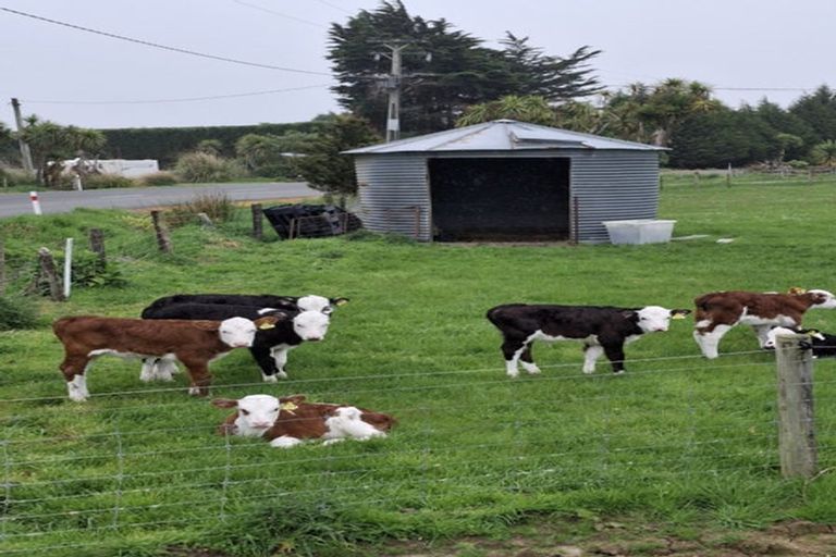 Photo of property in 256 Oreti Road, Otatara, Invercargill, 9879
