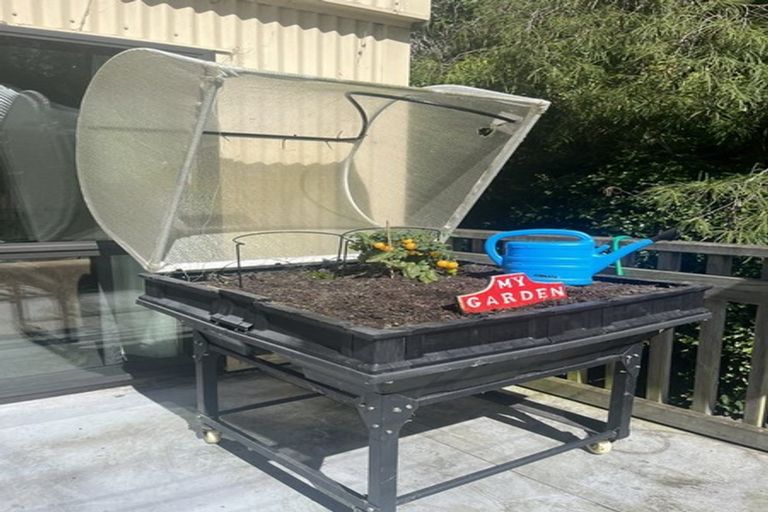 Photo of property in 17a Serpentine Avenue, Dunedin Central, Dunedin, 9016