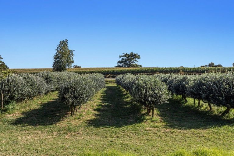 Photo of property in 1b Luxton Road, Awakeri, Whakatane, 3193