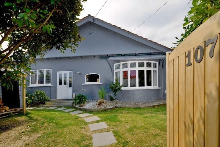 Photo of property in 107 Hargest Crescent, Saint Clair, Dunedin, 9012
