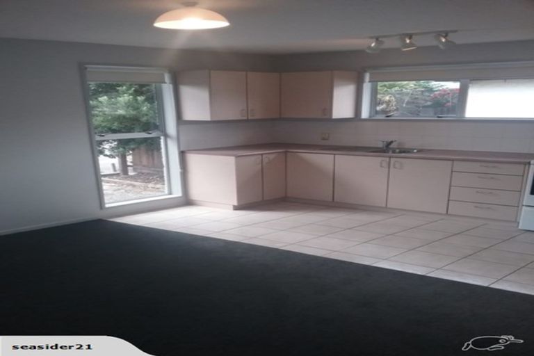 Photo of property in 19 Pukeko Place, Southshore, Christchurch, 8062