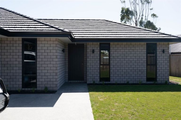 Photo of property in 46 Grigg Drive, Witherlea, Blenheim, 7201