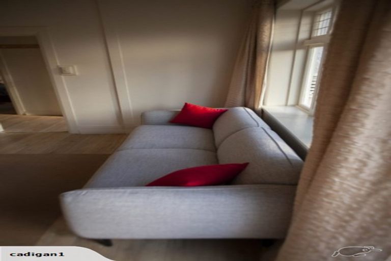 Photo of property in 77 Nairn Street, Mount Cook, Wellington, 6011