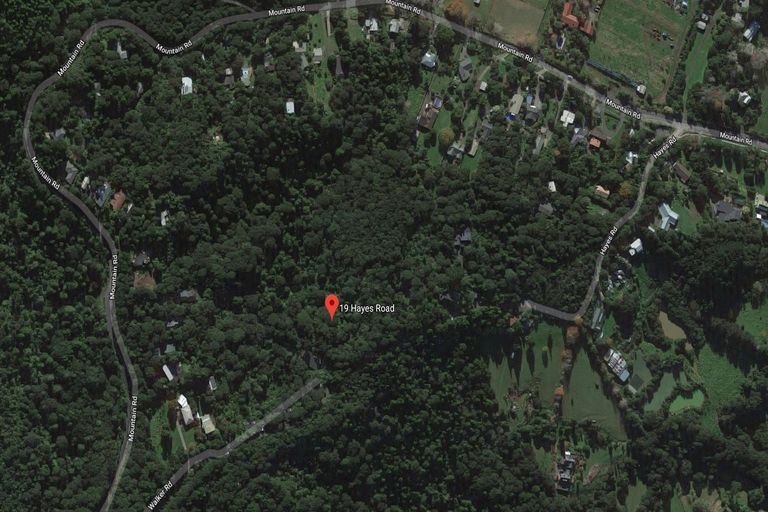 Photo of property in 19 Hayes Road, Henderson Valley, Auckland, 0612