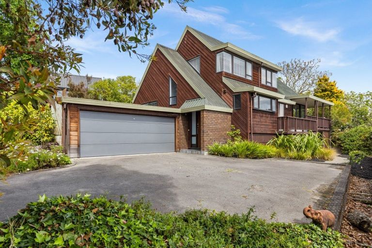 Photo of property in 26 Durham Drive, Havelock North, 4130