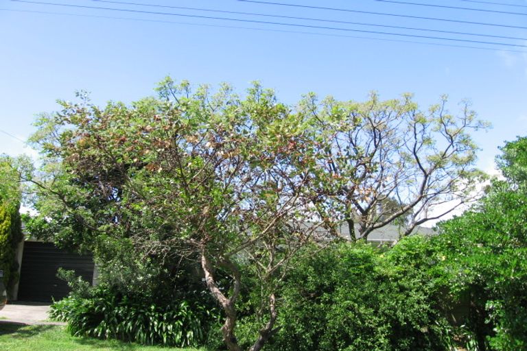 Photo of property in 41 Douglas Street, Okitu, Gisborne, 4010