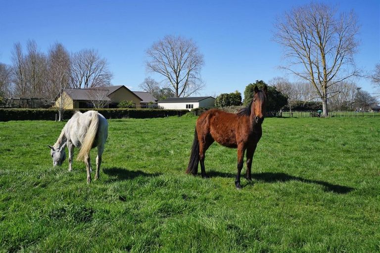 Photo of property in 377c Telephone Road, Puketaha, Hamilton, 3281