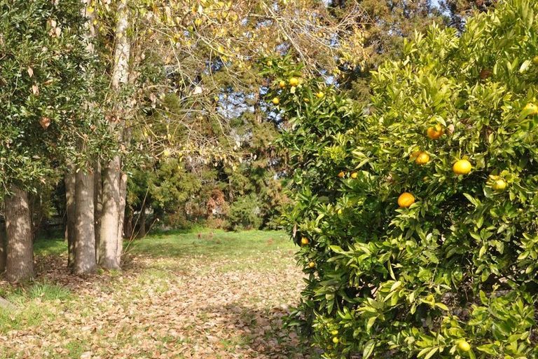 Photo of property in 45 Paetai Road, Ohinewai, Huntly, 3771