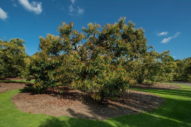 Photo of property in 317 Pahoia Road, Whakamarama, Tauranga, 3172