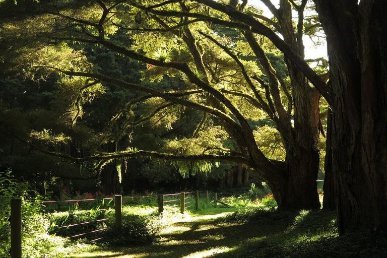 Photo of property in 130 Gibbons Road, Kaiwaka, 0573