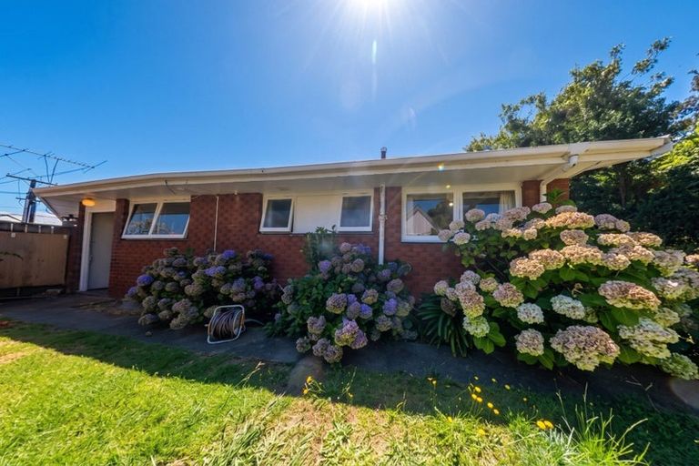 Photo of property in 20b Falla Street, Paraparaumu Beach, Paraparaumu, 5032