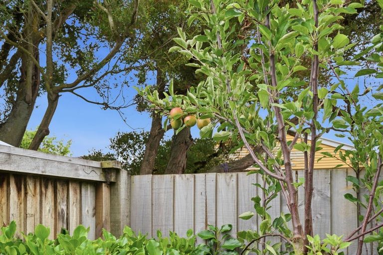 Photo of property in 7 Ettrick Lane, Richmond, Christchurch, 8013