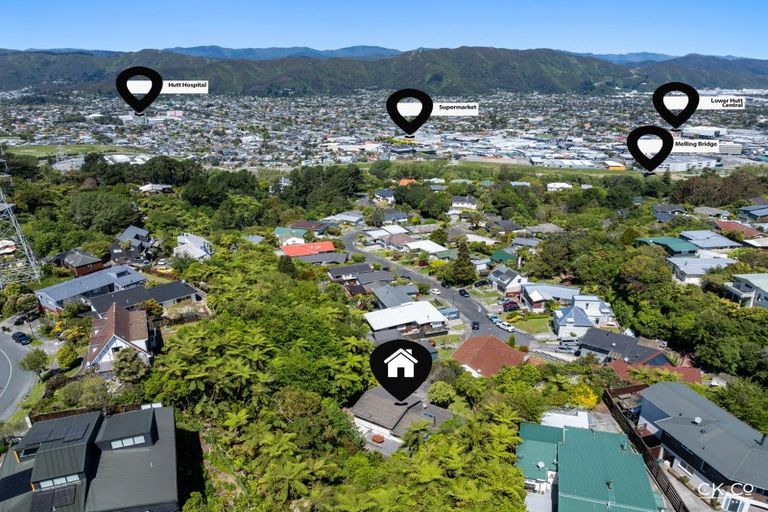 Photo of property in 12 Rondane Place, Tirohanga, Lower Hutt, 5010