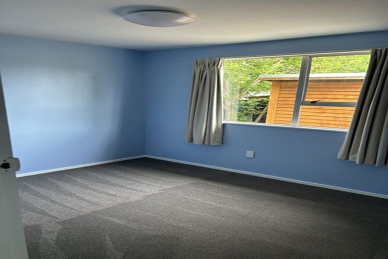 Photo of property in 21 Antimony Crescent, Cromwell, 9310