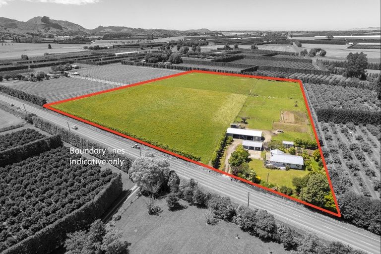 Photo of property in 1344 Back Ormond Road, Ormond, Gisborne, 4071