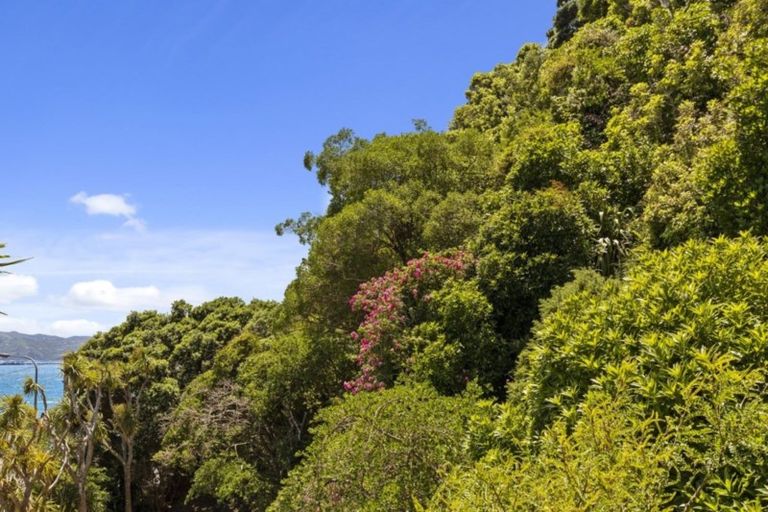 Photo of property in 501 Marine Drive, Sunshine Bay, Lower Hutt, 5013