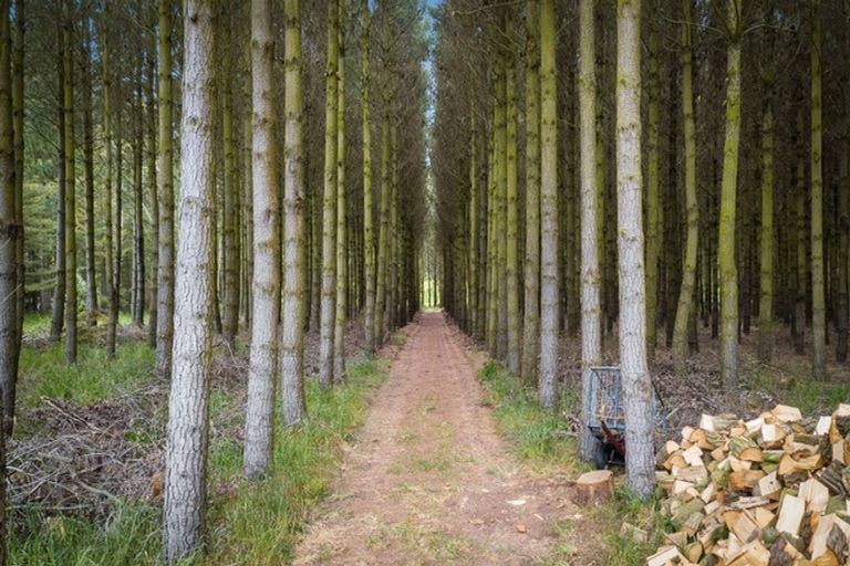 Photo of property in 1837 West Coast Road, Kirwee, Christchurch, 7671