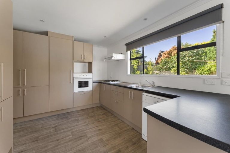 Photo of property in 112a Neplusultra Street, Cromwell, 9310