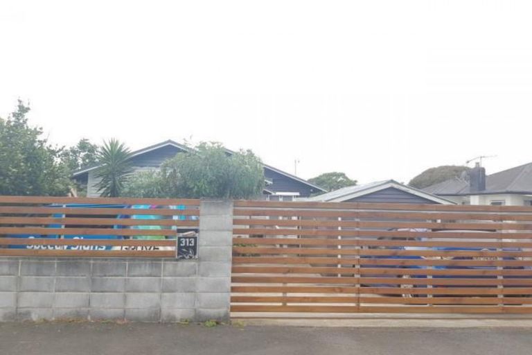 Photo of property in 313 Carrington Street, Vogeltown, New Plymouth, 4310