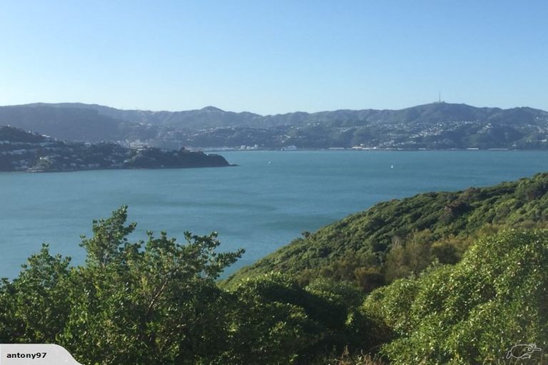 Photo of property in 99 Kaikoura Street, Maupuia, Wellington, 6022