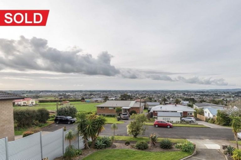 Photo of property in 22 Routly Avenue, Pukekohe, 2120