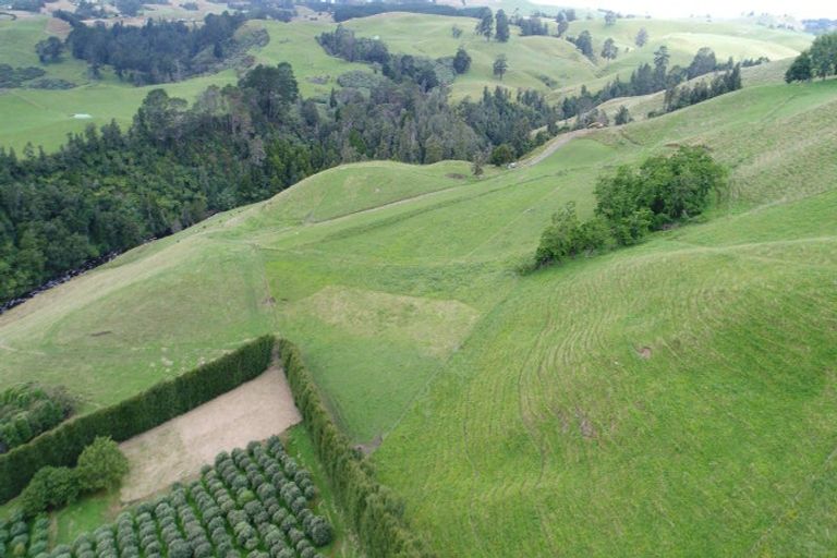 Photo of property in 151d Hereford Road, Oropi, 3173