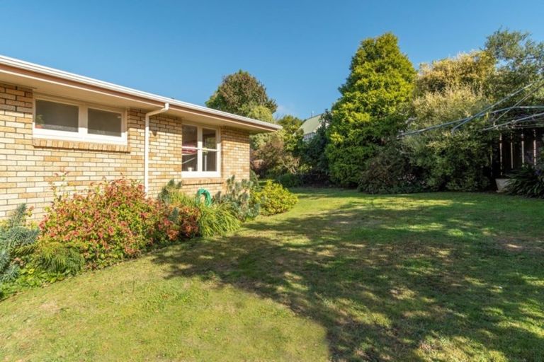 Photo of property in 23 Paine Street, Judea, Tauranga, 3110