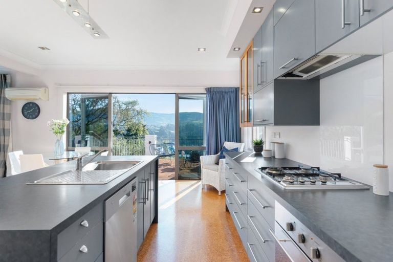 Photo of property in 113 Signal Hill Road, Opoho, Dunedin, 9010