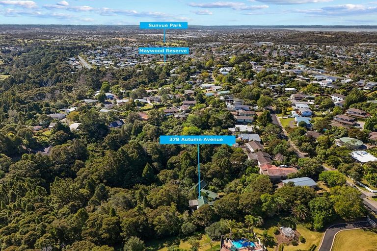 Photo of property in 2/37 Autumn Avenue, Glen Eden, Auckland, 0602